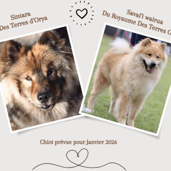 Brown and Cream Winter Fashion Photo Collage Facebook Post