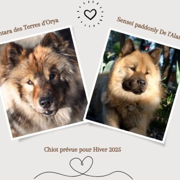 Brown and Cream Winter Fashion Photo Collage Facebook Post